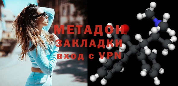 индика Арсеньев
