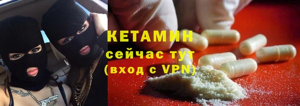 индика Арсеньев