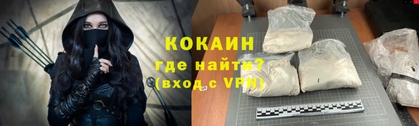 индика Арсеньев