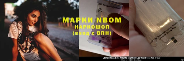 индика Арсеньев