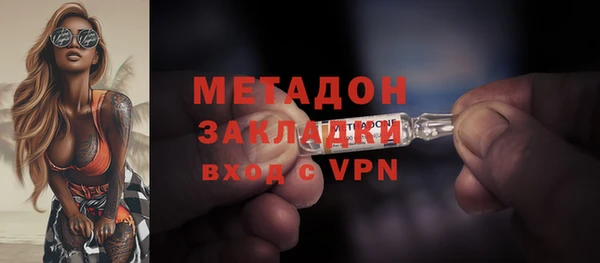 индика Арсеньев
