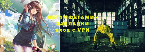 индика Арсеньев