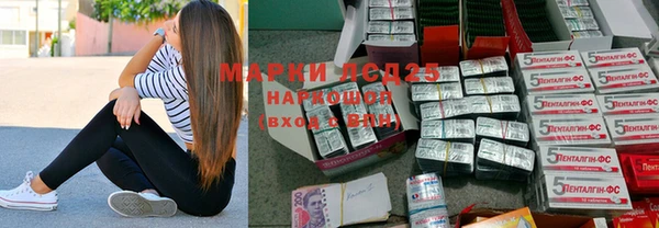 индика Арсеньев