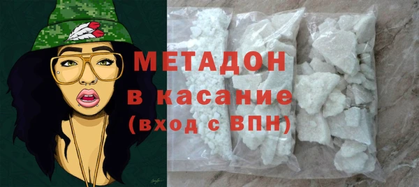 индика Арсеньев